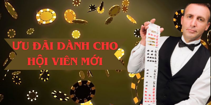 Chính sách khuyến mãi SHBET dành cho tân hội viên