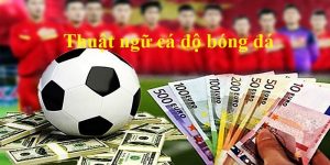 Thuật ngữ cá độ bóng đá